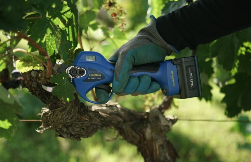 tijeras de poda manuales y eléctricas