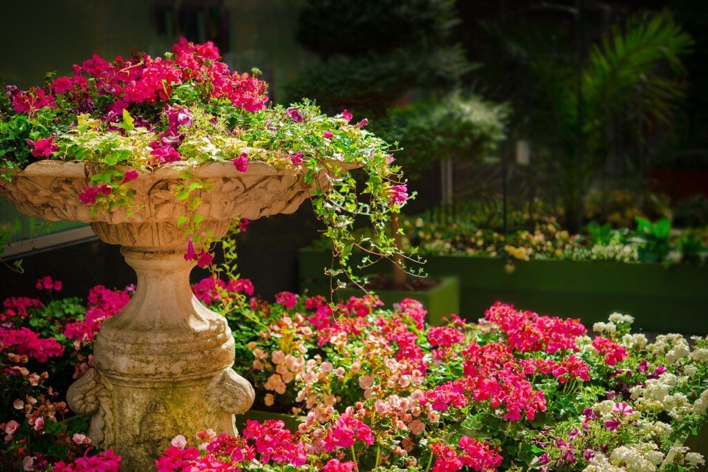 cuidados del jardín en verano