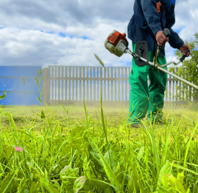 desbrozadoras eléctricas y de gasolina