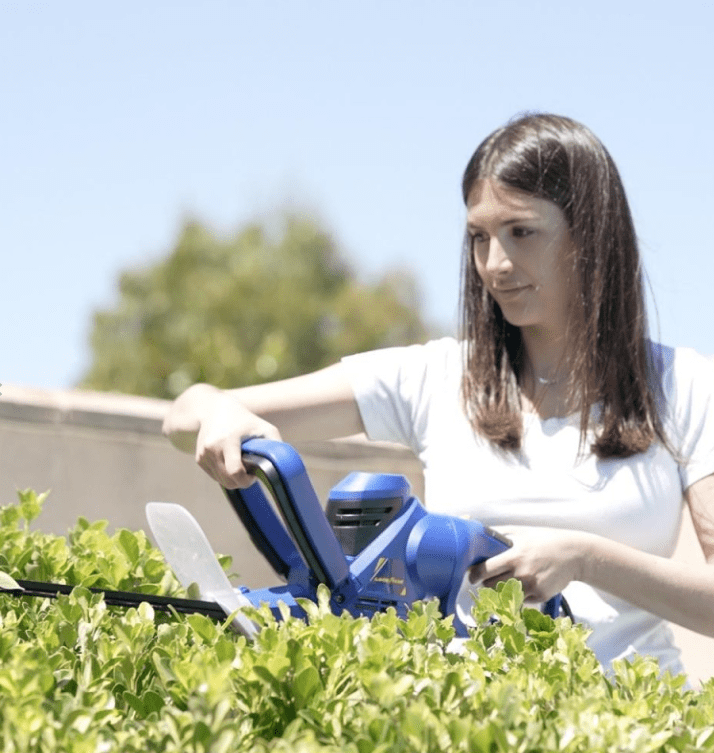 guía de compra de herramientas de jardinería