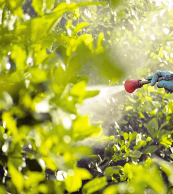 guía de mantenimiento para carretillas de fumigación