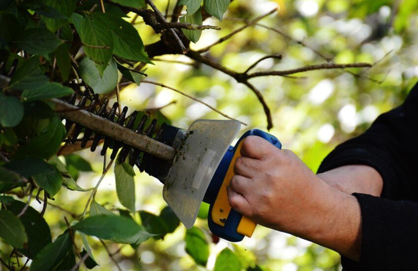 mantenimiento de cortasetos eléctrico a cable