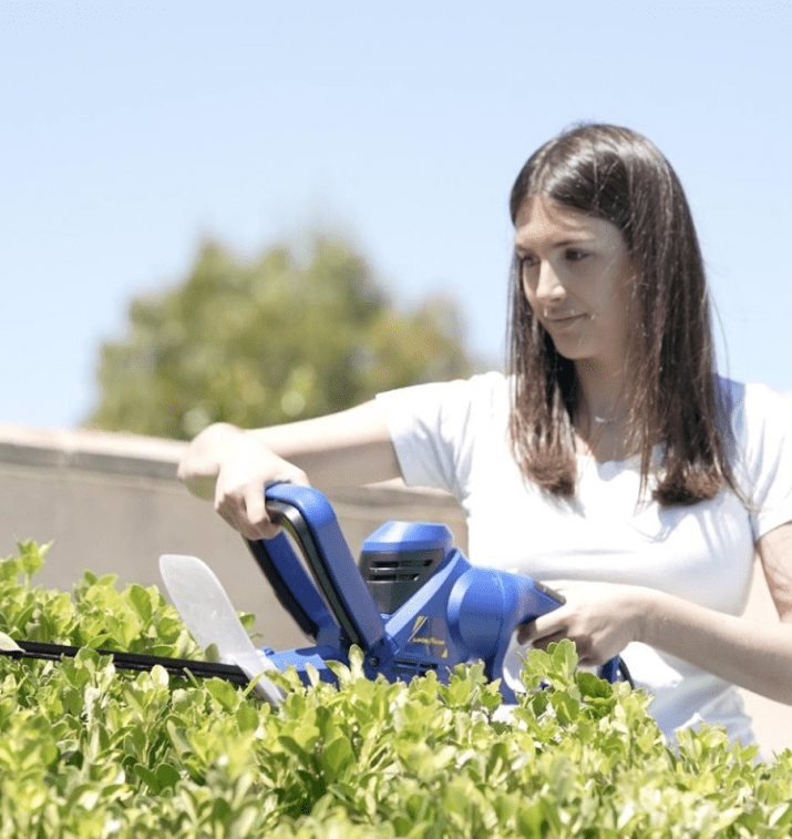 mantenimiento de cortasetos eléctrico a cable