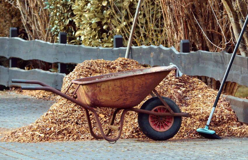 herramientas esenciales para jardineros principiantes