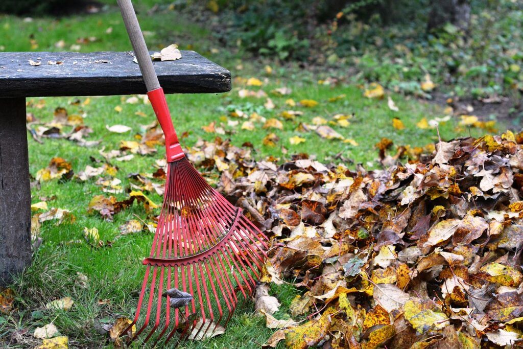 herramientas de mano imprescindibles en otoño