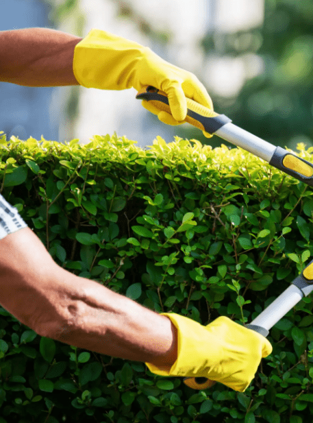 herramientas de mano imprescindibles en otoño