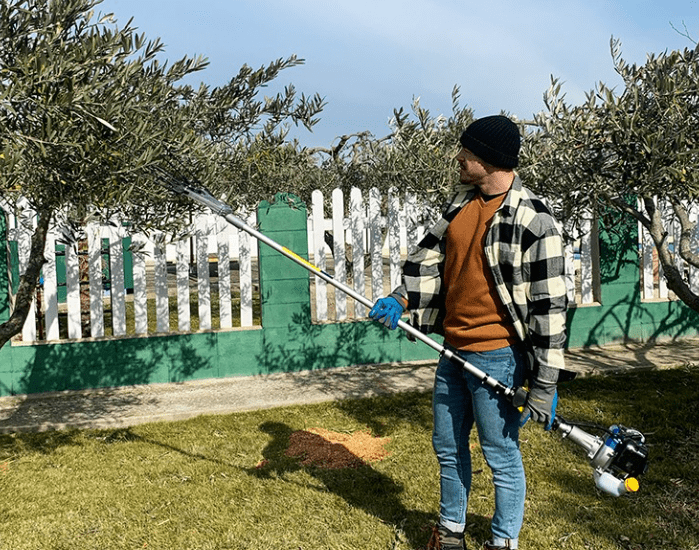 vareador de aceitunas eléctrico y gasolina