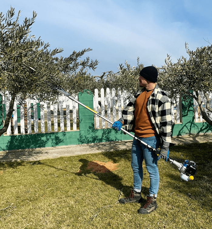 vareador de aceitunas eléctrico y gasolina