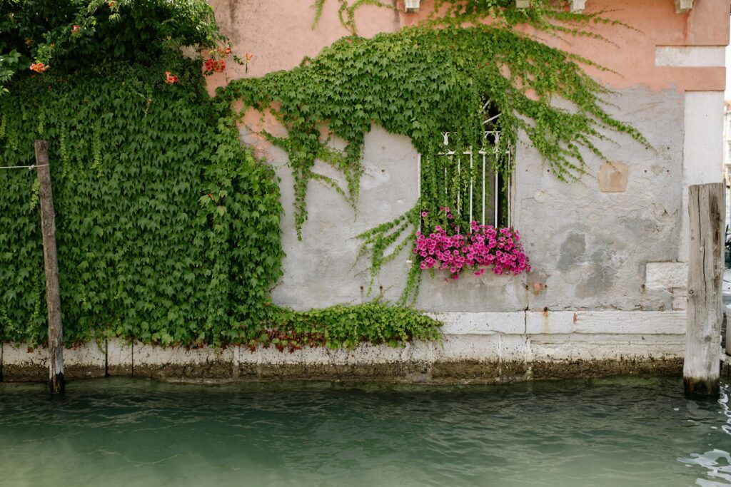 crear un jardín vertical en otoño