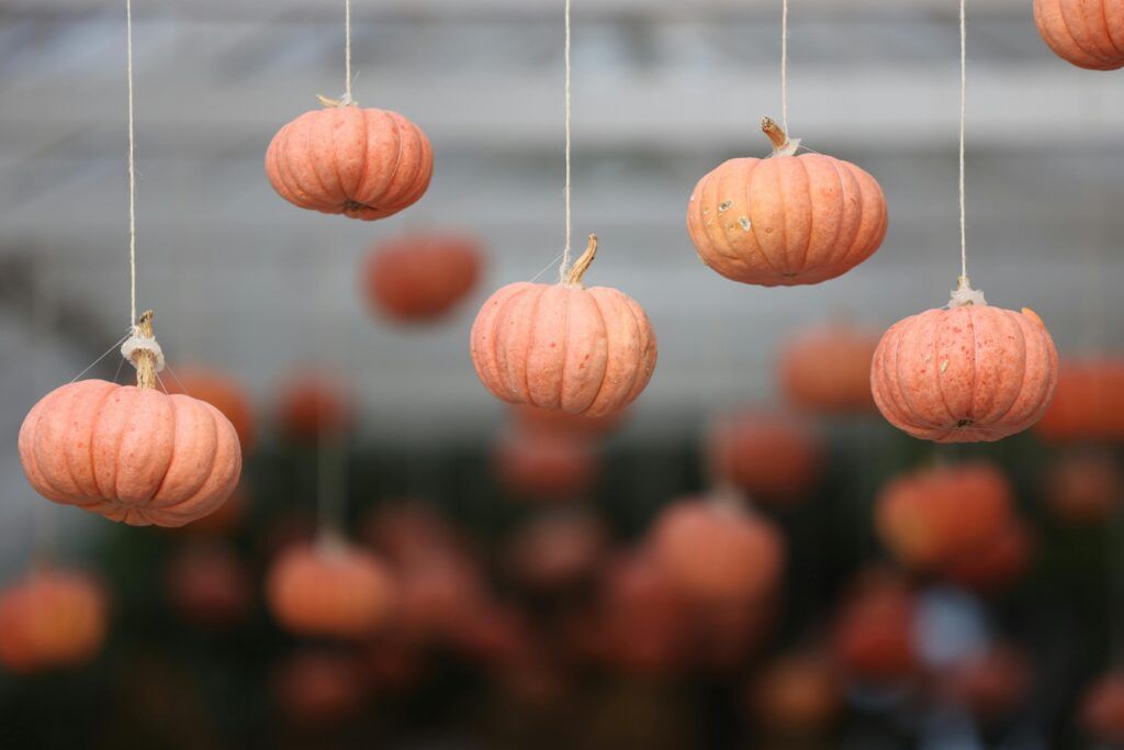 decorar tu jardín con calabazas