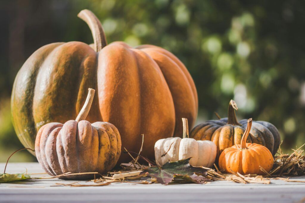 decorar tu jardín con calabazas