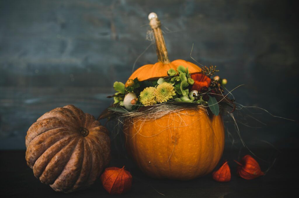 jardín con calabazas