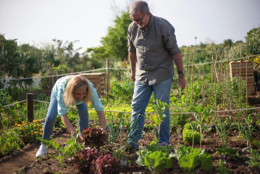 proyectos de jardinería con un motocultor