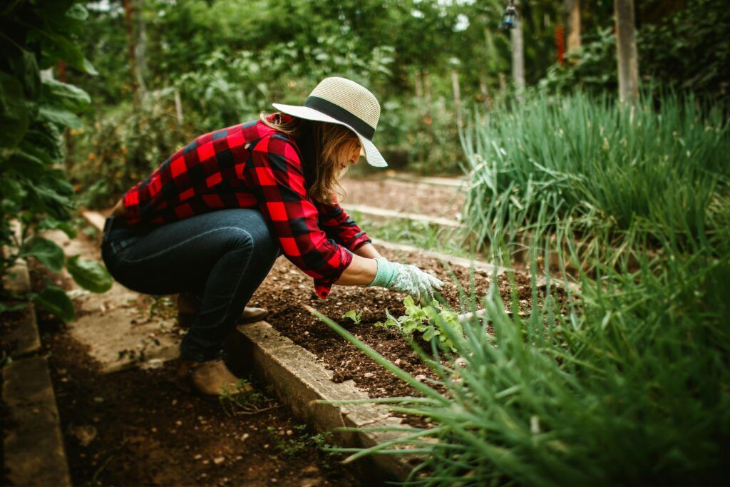 proyectos de jardinería con un motocultor