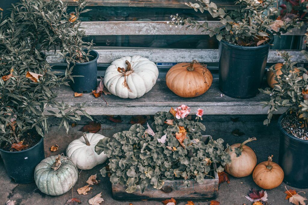 decorar tu jardín para el otoño con ideas diy