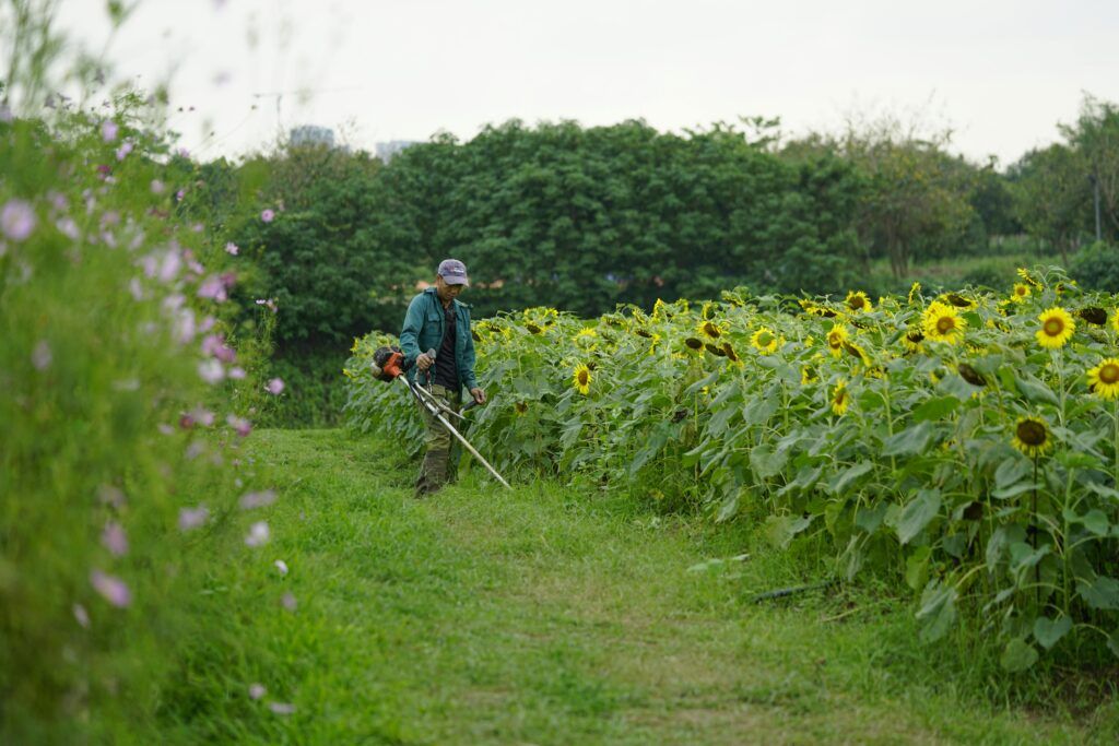 proyectos de mejora del jardín utilizando una desbrozadora