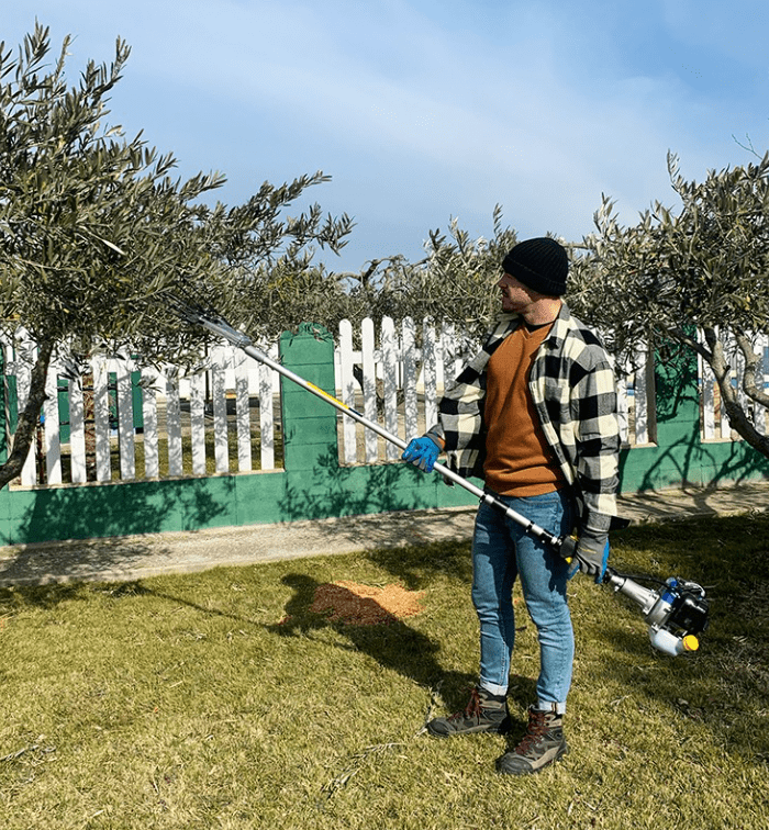 ventajas de usar un vareador frente a métodos tradicionales