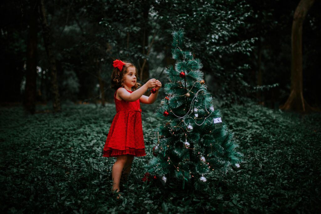 preparar terrenos para plantar árboles navideños